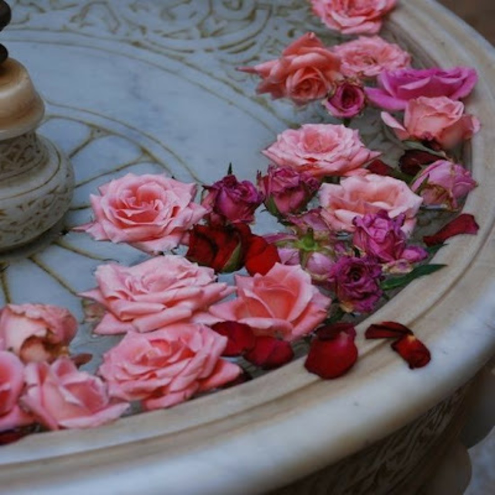 Meet your Posher, Boston